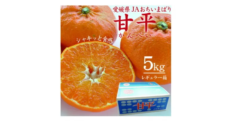 【ふるさと納税】【先行予約】人気柑橘　甘平(かんぺい)レギュラー箱　5kg　愛媛県　JAおちいまばり【配送不可地域：離島】【1535534】