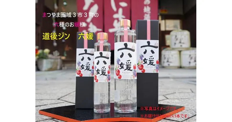 【ふるさと納税】水口酒造 道後ジン「六媛」200ml