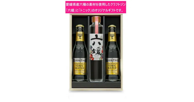 【ふるさと納税】水口酒造 道後ジン「六媛」・トニックセット（G6-200）