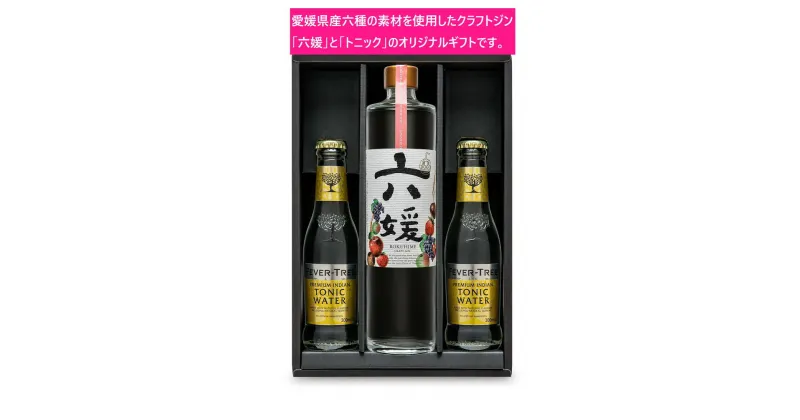 【ふるさと納税】水口酒造 道後ジン「六媛」・トニックセット（G6-500）