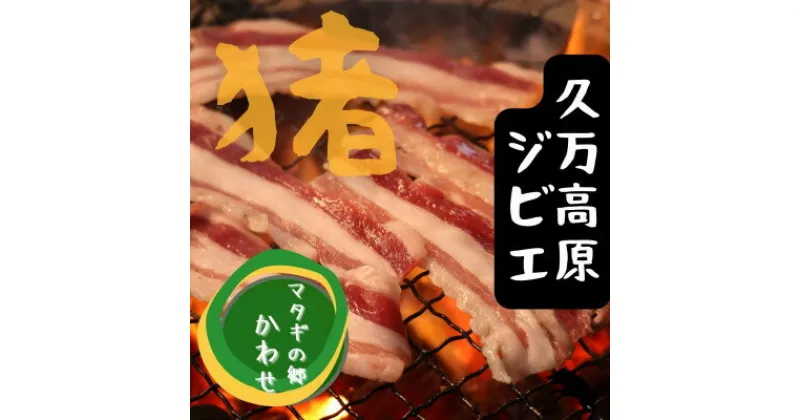 【ふるさと納税】ジビエ「イノシシ肉 部位別束比べセット（800g）」 | BBQ アウトドア キャンプ ヘルシー 猪肉 モモ カタ ばら ロース バーベキュー 愛媛 久万高原町　※離島への配送不可