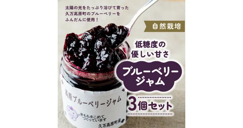 【ふるさと納税】【自然栽培】農園こだわりのブルーベリージャム3個セット※着日指定不可