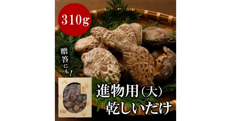 【ふるさと納税】進物用乾しいたけ310g ｜ 原木栽培 干し椎茸 乾椎茸 どんこ しいたけ きのこ 出汁 肉厚 贈答 愛媛 久万高原町　※離島への配送不可