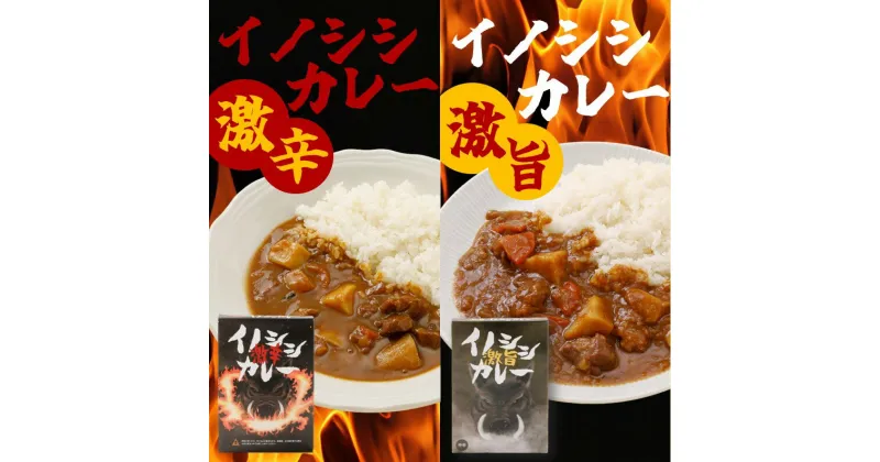 【ふるさと納税】激辛イノシシカレー/激旨イノシシカレー　各3箱 計6箱セット