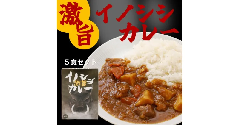 【ふるさと納税】激旨イノシシカレー 5箱セット