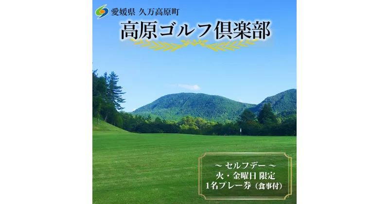 【ふるさと納税】セルフデー限定プレー券1枚