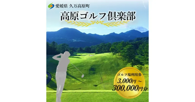 【ふるさと納税】【選べる金額】ゴルフプレー クーポン券