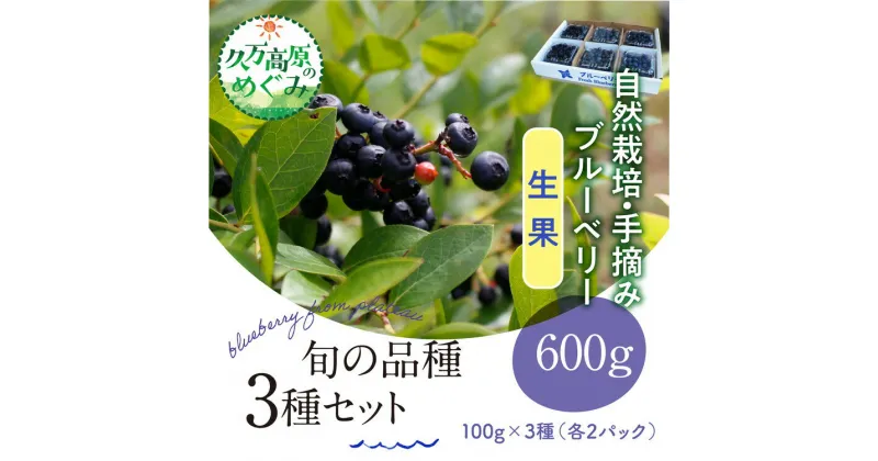 【ふるさと納税】【先行予約】農園直送 手摘み 生果 品種おまかせ ブルーベリー 100g×3種×2パック 計6パック 食べ比べ ※北海道・沖縄・離島への配送不可 ※2025年7月上旬～8月下旬頃に順次発送予定