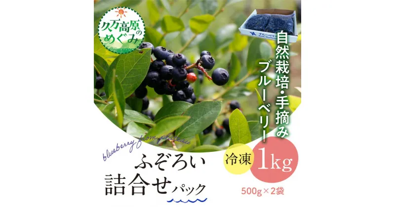 【ふるさと納税】農園直送 不揃い手摘み 冷凍 ブルーベリー 500g×2袋 計1kg 使い方いろいろ ※離島への配送不可