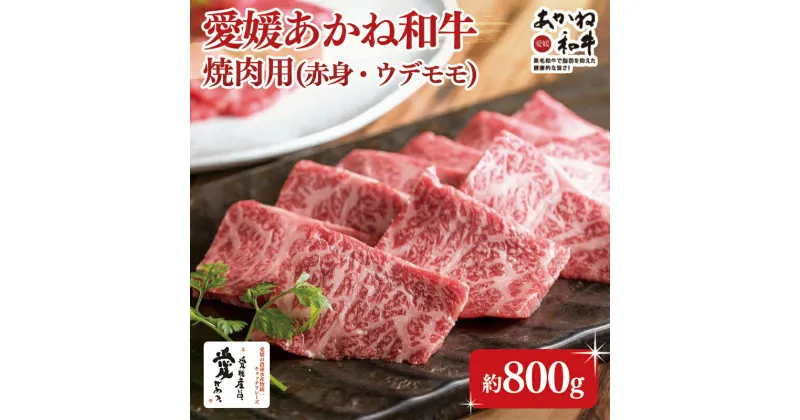 【ふるさと納税】 愛媛あかね和牛焼肉用赤身ウデモモ（約800g）