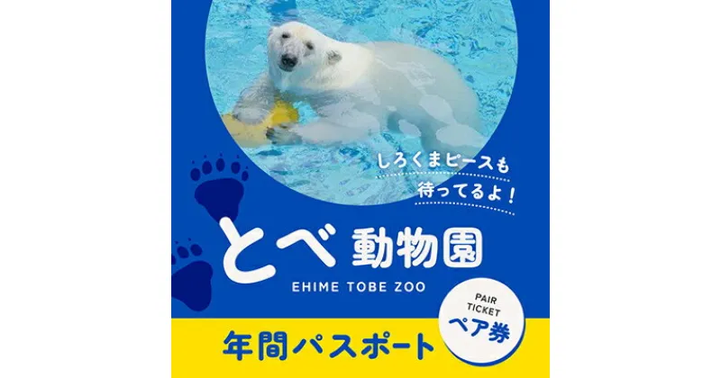 【ふるさと納税】とべ動物園「年間パスポート」（ペア）　 チケット 入場券 優待券 大規模 動物園 ジップライン