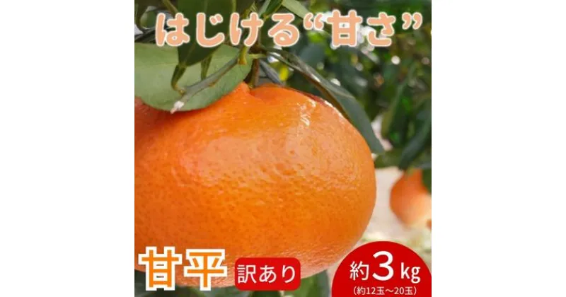 【ふるさと納税】訳あり　甘平　サイズ不揃い3キロ　家庭用 今が旬 甘い 農園直送 みかん 人気 数量限定 先行予約 柑橘 蜜柑 ミカン 愛媛みかん かんきつ 愛媛県 産地直送 フルーツ 果物 くだもの　 砥部町 美味しい 　お届け：2025年1月上旬から2月下旬頃