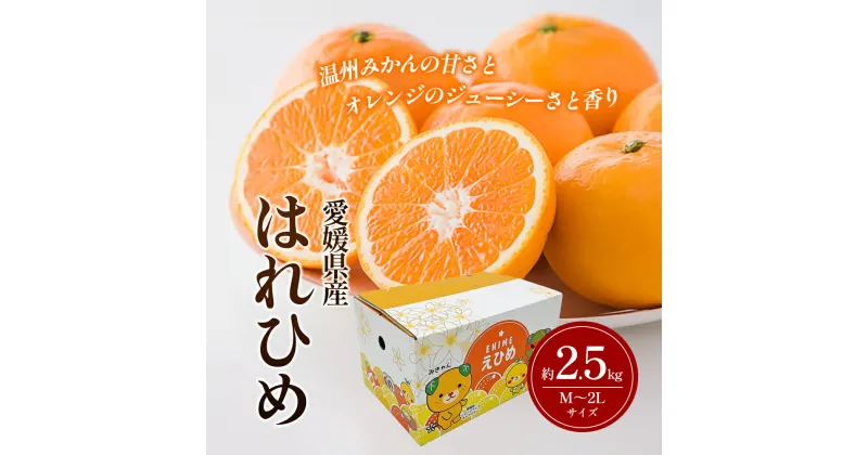 【ふるさと納税】はれひめ M～2Lサイズ 約2.5kg 申込11月30日まで 12月上旬から順次発送【みかん ミカン オレンジ かんきつ 柑橘 フルーツ 果物 くだもの おやつ スイーツ 甘い ジューシー 愛媛県】　お届け：2024年12月上旬～2025年1月上旬