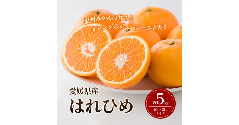 【ふるさと納税】はれひめ M～2Lサイズ 約5kg 申込11月30日まで 12月上旬から順次発送【みかん ミカン オレンジ かんきつ 柑橘 フルーツ 果物 くだもの おやつ スイーツ 甘い ジューシー 愛媛県】　お届け：2024年12月上旬～2025年1月上旬