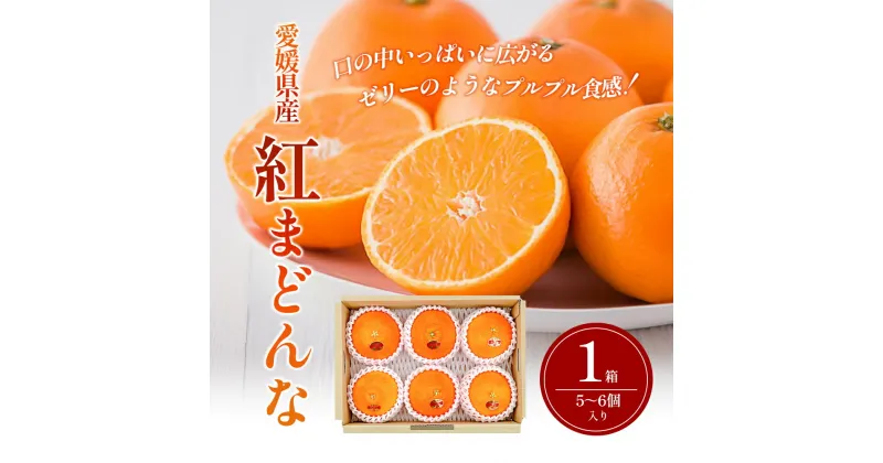 【ふるさと納税】紅まどんな　1箱（5～6個入り）申込12月8日まで 11月下旬から順次発送【期間限定 数量限定 ミカン みかん 柑橘 高級品 正規品 紅マドンナ フルーツ 果物 スイーツ おやつ 愛媛県 贈答】　お届け：2024年11月下旬～2024年12月下旬