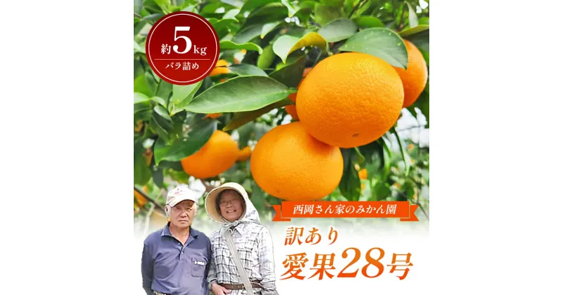 【ふるさと納税】＜産地直送＞【訳あり】みかん「愛果28号」約5kg バラ詰め 【訳あり ワケあり 愛果28号 甘味 ゼリー 柑橘 愛媛 砥部町 ふぞろい 家庭用】　お届け：2024年12月15日～2025年2月下旬