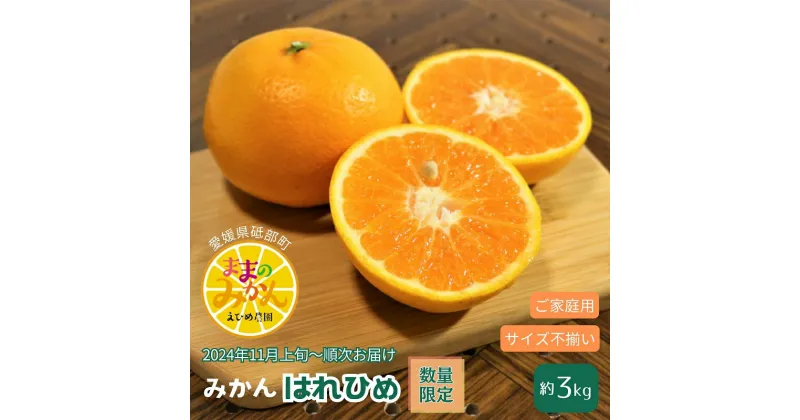 【ふるさと納税】＜産地直送＞【数量限定】みかん「はれひめ」サイズ不揃い3キロ家庭用 11月上旬頃～順次発送【訳あり ふぞろい 甘い みかん 愛媛】　お届け：2024年11月上旬～12月下旬