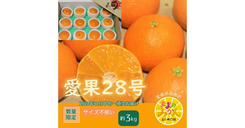 【ふるさと納税】＜産地直送＞【数量限定】みかん「愛果28号」サイズ不揃い3キロ家庭用 12月中旬頃～順次発送【訳あり ふぞろい 甘い みかん 愛媛】　お届け：2024年12月中旬～2025年1月中旬