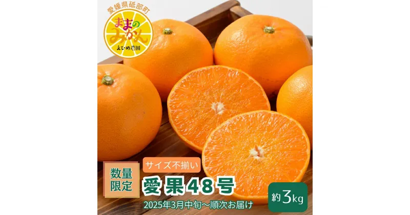 【ふるさと納税】【新品種登場！】＜産地直送＞【数量限定】みかん「愛果48号」　サイズ不揃い3キロ　家庭用 2025年3月中旬頃～順次発送【訳あり ふぞろい 甘い みかん 愛媛】　お届け：2025年3月中旬～4月下旬