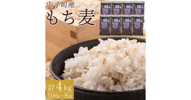 【ふるさと納税】内子町産 もち麦（4kg） | 食品 加工食品 人気 おすすめ 送料無料