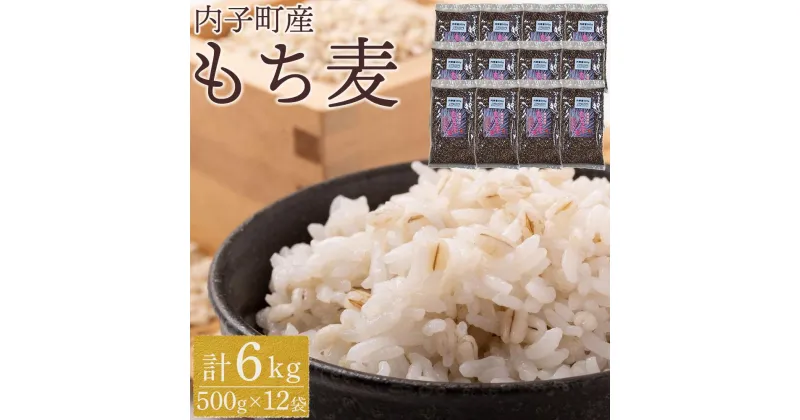 【ふるさと納税】内子町産 もち麦（6kg） | 食品 加工食品 人気 おすすめ 送料無料