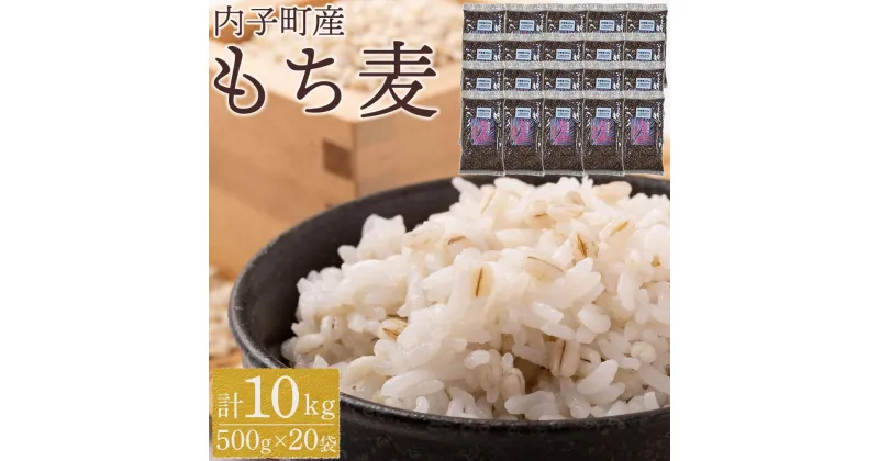 【ふるさと納税】内子町産 もち麦（10kg） | 食品 加工食品 人気 おすすめ 送料無料