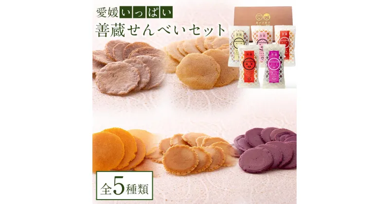 【ふるさと納税】【愛媛いっぱい！】善蔵 せんべいセット（5種類 計5個） | 食品 加工食品 人気 おすすめ 送料無料