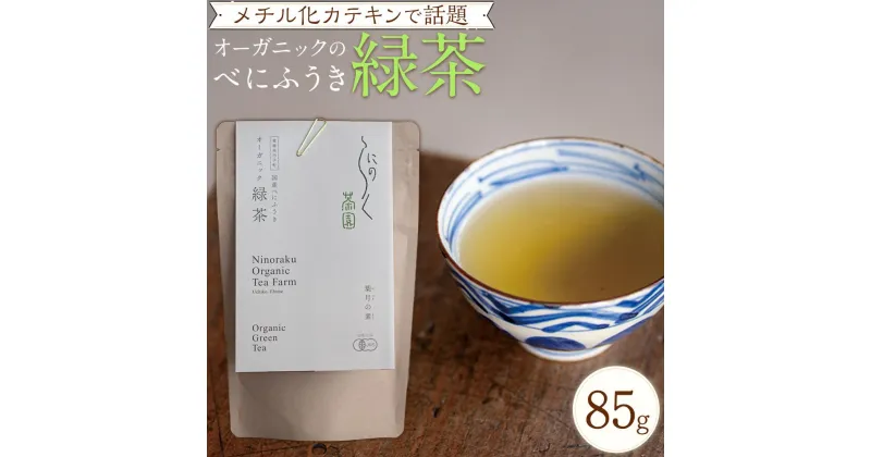 【ふるさと納税】メチル化カテキンで話題　オーガニックのべにふうき緑茶（85g×1個）