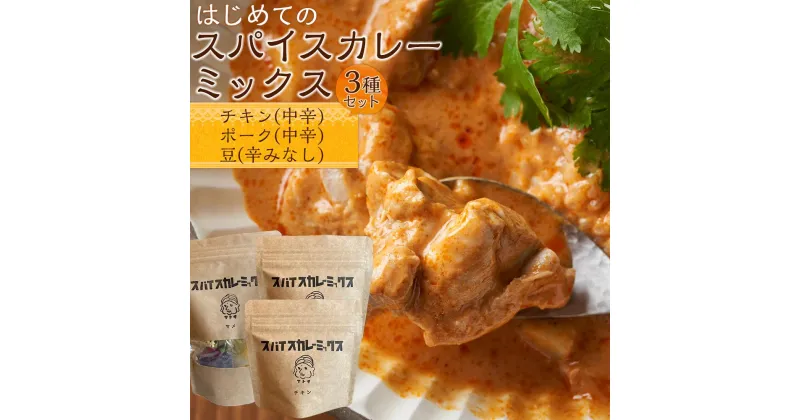 【ふるさと納税】はじめてのスパイスカレーミックス　3種セット | 調味料 香辛料 スパイス 食品 加工食品 人気 おすすめ 送料無料