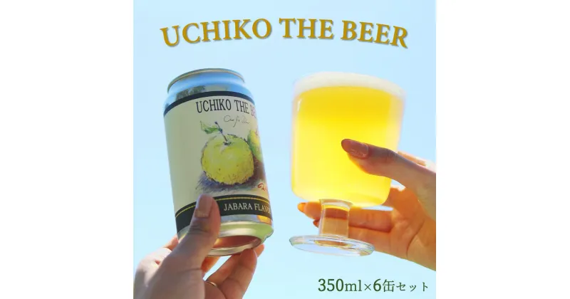 【ふるさと納税】UCHIKO THE BEER　350ml×6缶セット | お酒 さけ クラフトビール 人気 おすすめ 送料無料 ギフト