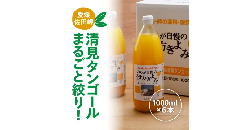 【ふるさと納税】【愛媛県産】おらが自慢の伊方きよみジュース（1000ml×6本） ストレート果汁100％◇