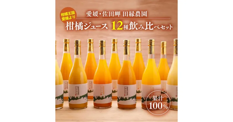 【ふるさと納税】【数量限定】【愛媛県産】田縁農園の無添加100% 12種セット（温州みかん,清見タンゴール,伊予柑,河内晩柑,ぽんかん,ニューサマーオレンジ,せとか,ひょうかん,不知火,かんぺい,紅まどんな,あいおとめ,シトラスミックス）