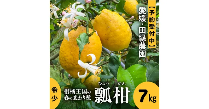 【ふるさと納税】【先行予約】【数量限定】田縁農園の瓢柑（生果）7kg ※2025年4月上旬～6月下旬頃に順次発送予定