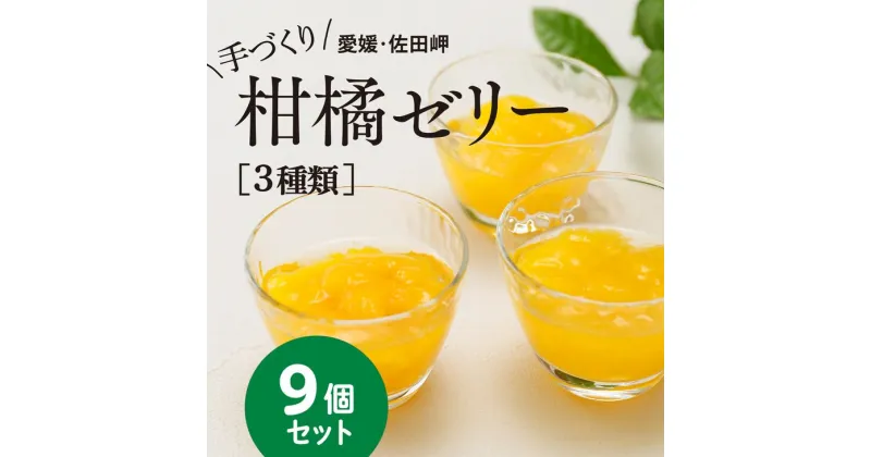 【ふるさと納税】【皮までまるごと国産無添加】愛媛まるごとゼリーセット（9個）