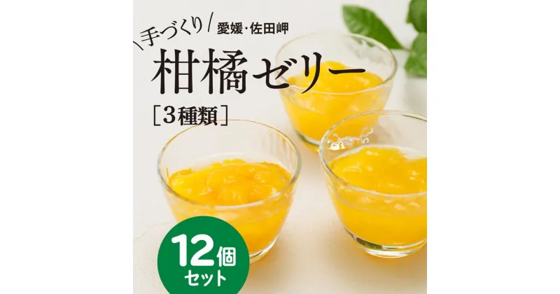 【ふるさと納税】【皮までまるごと国産無添加】愛媛まるごとゼリーセット（12個）