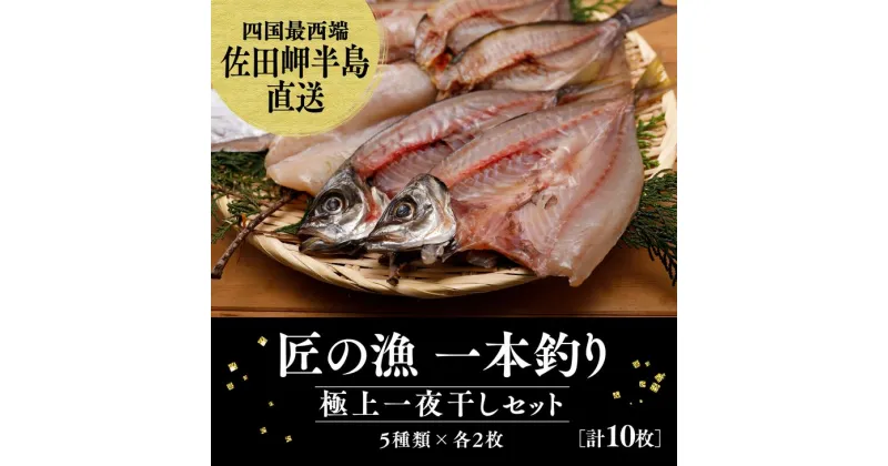 【ふるさと納税】【一本釣り 匠の漁】佐田岬 玉手箱セット＜海鮮 魚 愛媛 伊方 アジ いさき フグ サバ 太刀魚＞5種×各2枚（計10枚）