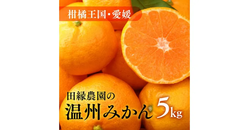 【ふるさと納税】【先行予約】【数量限定】田縁農園の温州みかん（生果）5kg ｜ 柑橘 みかん ミカン フルーツ 果物 愛媛 ※2024年11月上旬～12月下旬頃に順次発送予定