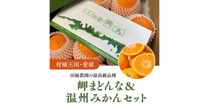 【ふるさと納税】【先行予約】【数量限定】田縁農園の岬（はな）まどんな＆温州みかんセット ｜ 柑橘 みかん ミカン フルーツ 果物 愛媛 ※2024年11月下旬～12月下旬頃に順次発送予定