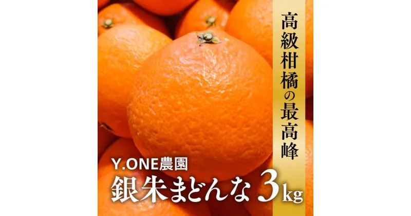 【ふるさと納税】【先行受付】【数量限定】銀朱まどんな（生果）12個入り（3kg) ｜ 柑橘 みかん ミカン 蜜柑 紅 まどんな 愛果 28号 と同品種 果物 フルーツ 愛媛県産　※2024年12月上旬～12月下旬頃より順次発送予定