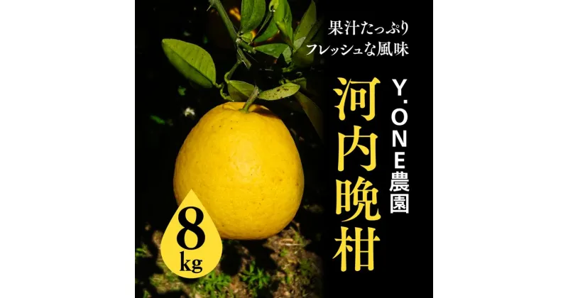 【ふるさと納税】【先行受付】【数量限定】【家庭用】河内晩柑（生果）8kg ｜ 柑橘 みかん ミカン 蜜柑 果物 和製グレープフルーツ 愛媛県産　※2025年5月中旬頃より順次発送予定