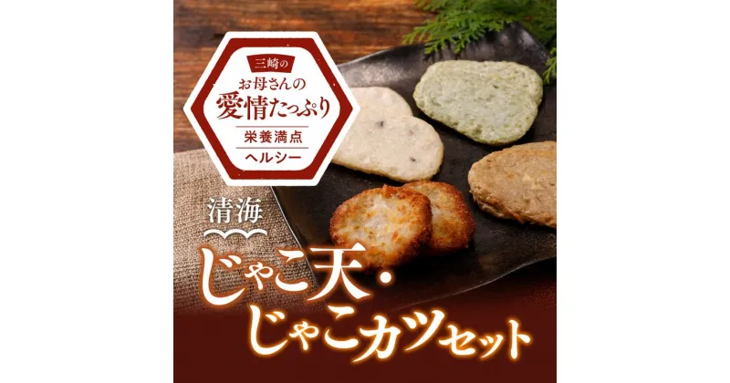 【ふるさと納税】練り物 清海 じゃこ天 15枚（じゃこ天・いか天・のり天 各5枚）＋じゃこカツ 5枚 ｜ 練り物 冷凍 名産 郷土料理 ご当地グルメ おつまみ おかず お弁当 愛媛