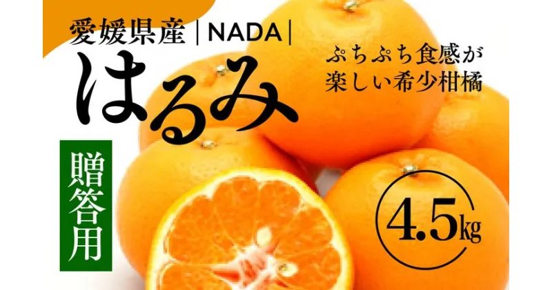 【ふるさと納税】【先行予約】【農家直送】愛媛県産 はるみ 贈答用 4.5kg ｜ 柑橘 蜜柑 みかん ミカン 果物 フルーツ ※2025年1月中旬～2月上旬頃に順次発送予定