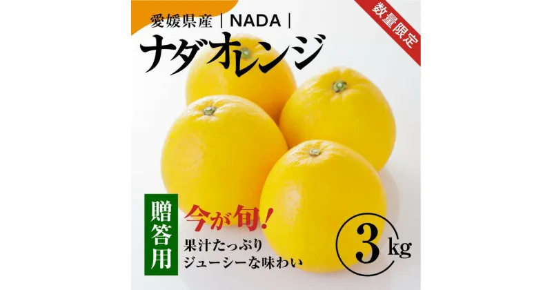 【ふるさと納税】【先行予約】【農家直送】愛媛県産 ナダオレンジ 贈答用 3kg ｜ 柑橘 蜜柑 みかん ミカン 果物 フルーツ 河内晩柑 ※2025年5月中旬より順次発送予定