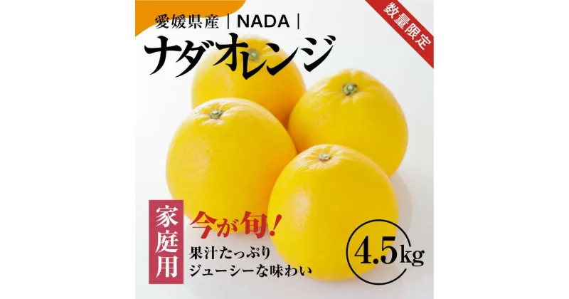 【ふるさと納税】【先行予約】【農家直送】愛媛県産 ナダオレンジ 家庭用 4.5kg ｜ 柑橘 蜜柑 みかん ミカン 果物 フルーツ 河内晩柑 ※2025年5月中旬頃より順次発送予定