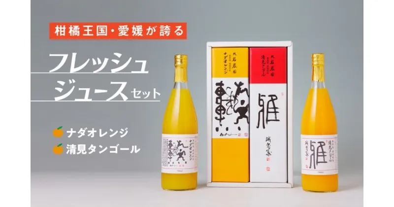 【ふるさと納税】愛媛県産 果汁100％みかんジュース2本入りセット（清見・ナダオレンジ）みかん 柑橘 ギフト