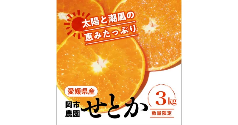 【ふるさと納税】【先行予約】【数量限定】＼農園直送／愛媛県産せとか3kg×1箱◆｜柑橘 みかん ミカン 蜜柑 果物 フルーツ 柑橘の大トロ 愛媛県産 ※2025年2月下旬頃～3月中旬頃に順次発送予定