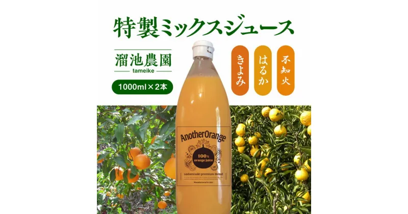 【ふるさと納税】ミックスジュースセット（清見オレンジ・不知火・はるか・はるみ）（1000ml×2本） ｜ みかん 柑橘 清見オレンジ 不知火 はるか はるみ 果物 フルーツ みかんジュース 無添加 果汁100％ 贈答 ギフト 愛媛