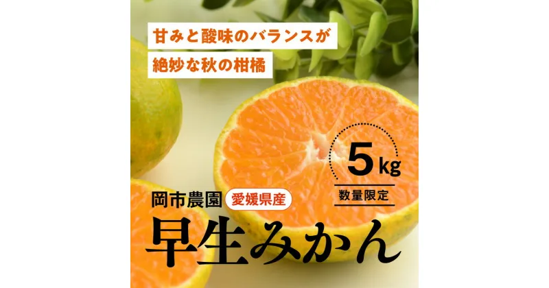 【ふるさと納税】【先行予約】【数量限定】＼農園直送／愛媛県産早生みかん5kg×1箱（家庭用）｜柑橘 みかん 温州みかん ミカン 蜜柑 果物 フルーツ 愛媛県産 ※2024年11月中旬頃～12月上旬頃に順次発送予定