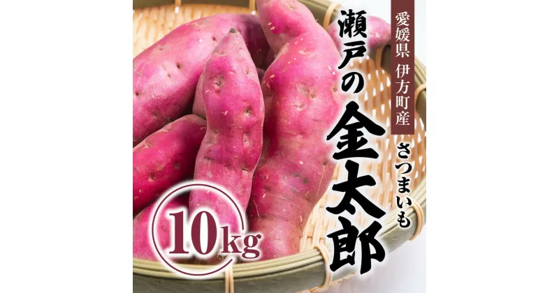 【ふるさと納税】【先行受付】瀬戸の金太郎芋10kg ｜ さつまいも サツマイモ 焼き芋 やきいも 産地直送 スイート　※2024年9月中旬～2025年5月上旬頃まで順次発送予定