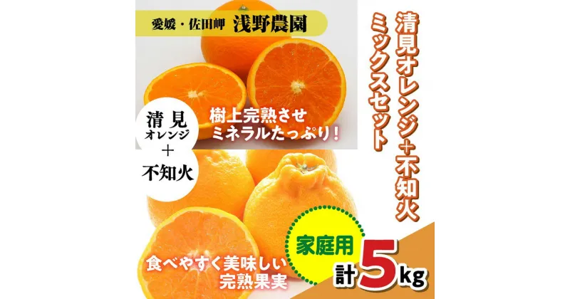 【ふるさと納税】【先行予約】【家庭用】清見オレンジ＋不知火ミックスセット 計5kg｜柑橘 みかん ミカン フルーツ 果物 愛媛 ※2025年3月上旬頃より順次発送予定 ※離島への配送不可